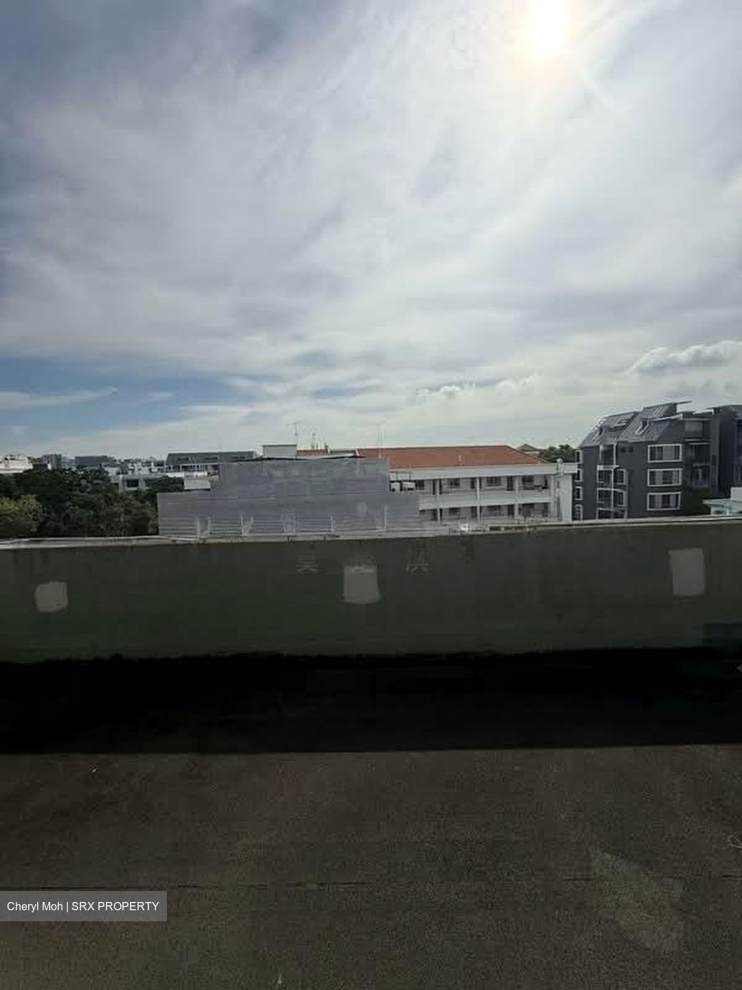 Le Conney Park (D15), Apartment #552022481